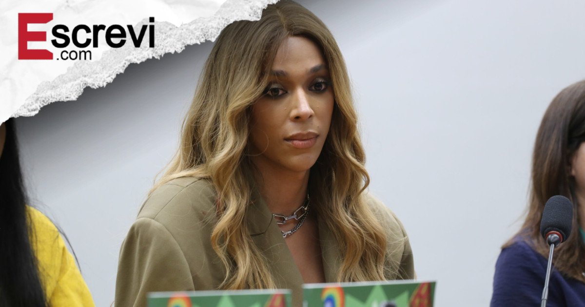 Três em cada quatro brasileiros reprovam Erika Hilton no comando da Comissão da Mulher imagem principal