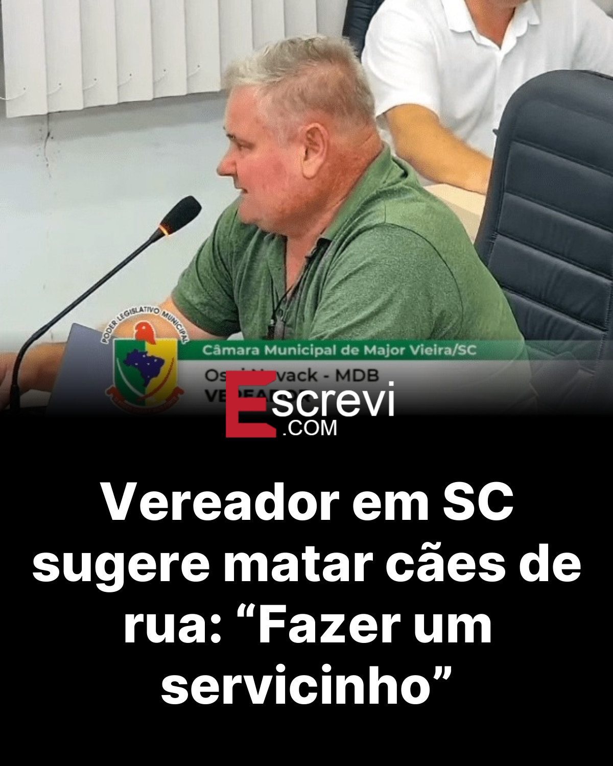 Vereador em SC sugere matar cães de rua: “Fazer um servicinho” card preto