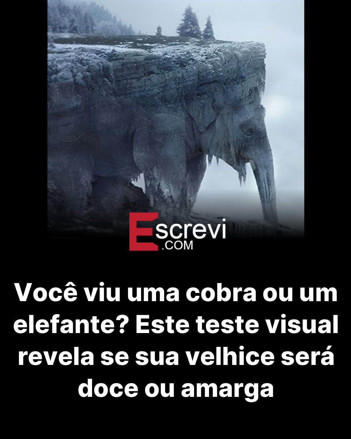 Você viu uma cobra ou um elefante? Este teste visual revela se sua velhice será doce ou amarga card preto