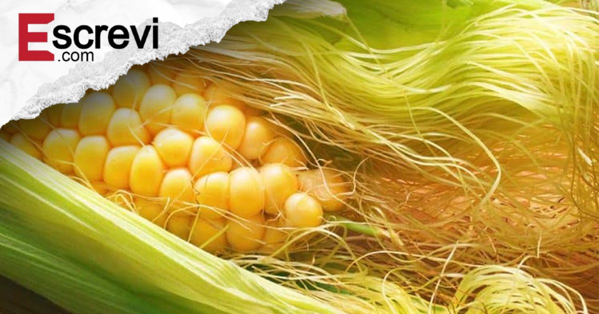 9 benefícios do cabelo de milho que você com certeza ainda não conhece: imagem principal