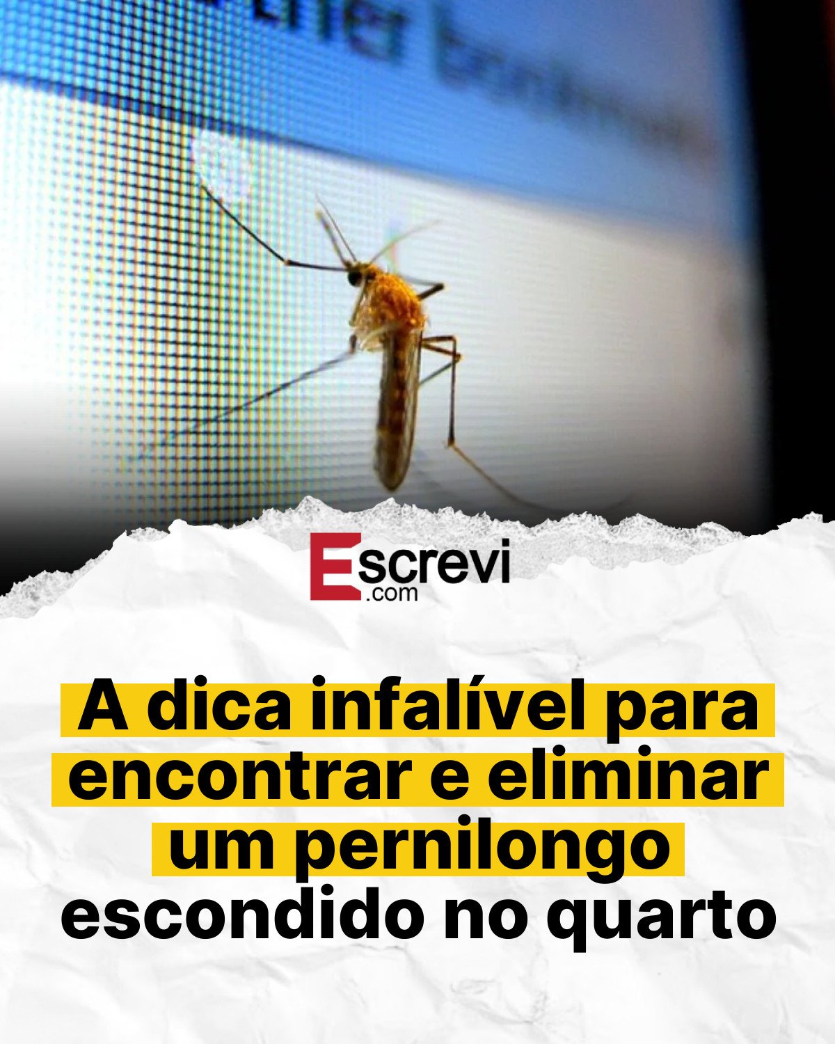 A dica infalível para encontrar e eliminar um pernilongo escondido no quarto card branco