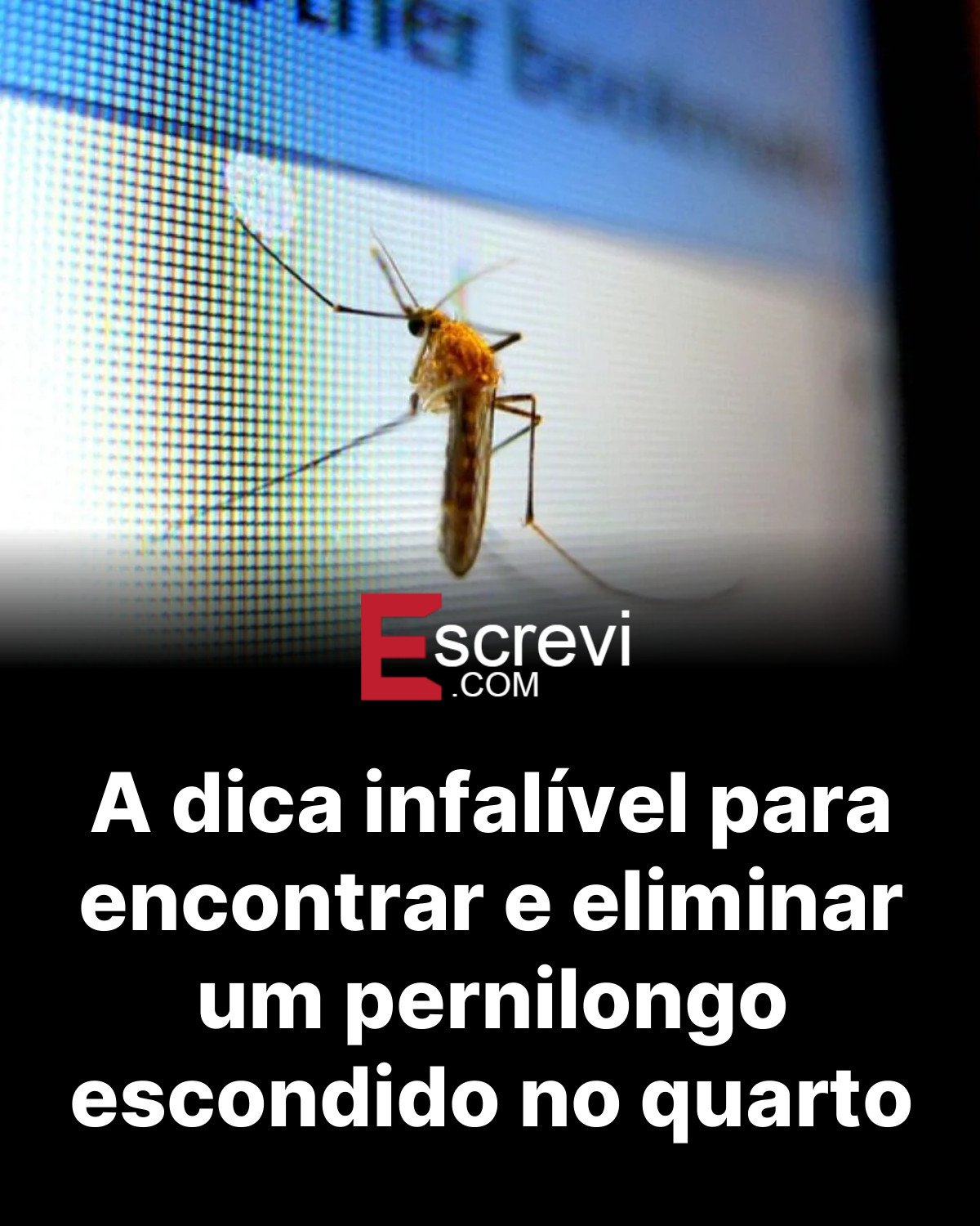 A dica infalível para encontrar e eliminar um pernilongo escondido no quarto card preto