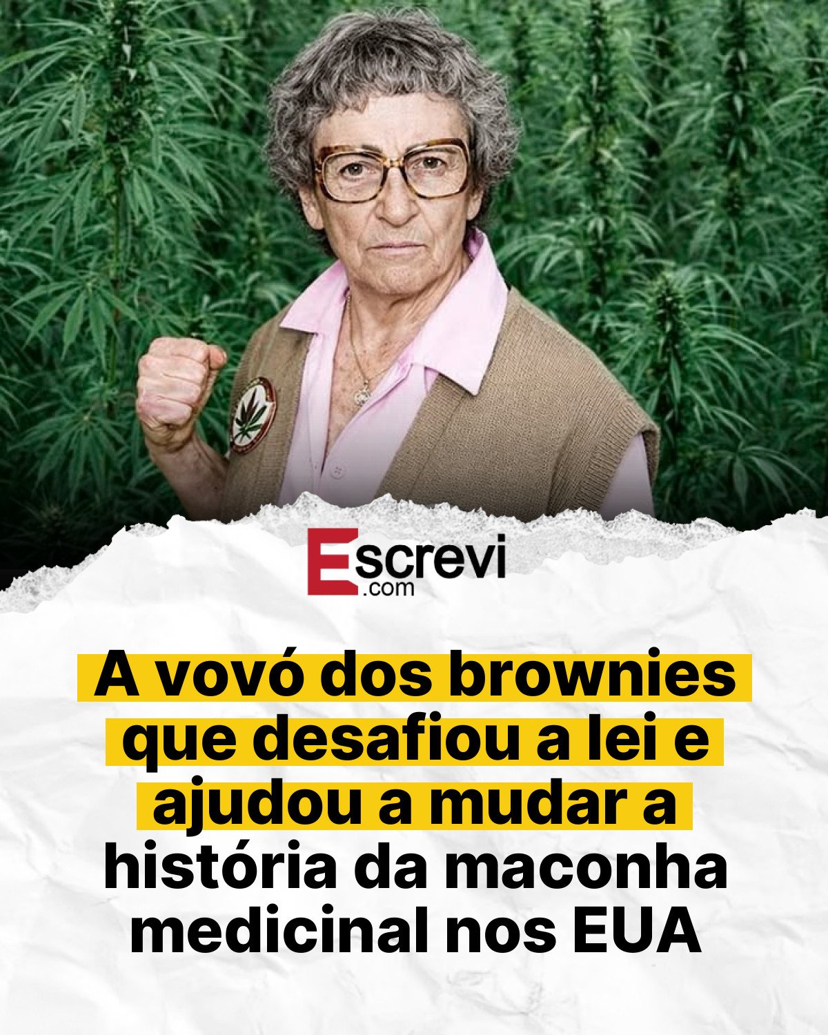 A vovó dos brownies que desafiou a lei e ajudou a mudar a história da maconha medicinal nos EUA card branco