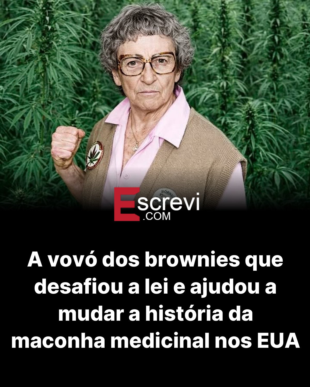 A vovó dos brownies que desafiou a lei e ajudou a mudar a história da maconha medicinal nos EUA card preto
