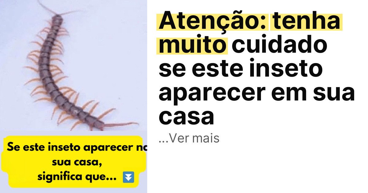 Atenção: tenha muito cuidado se este inseto aparecer em sua casa imagem principal