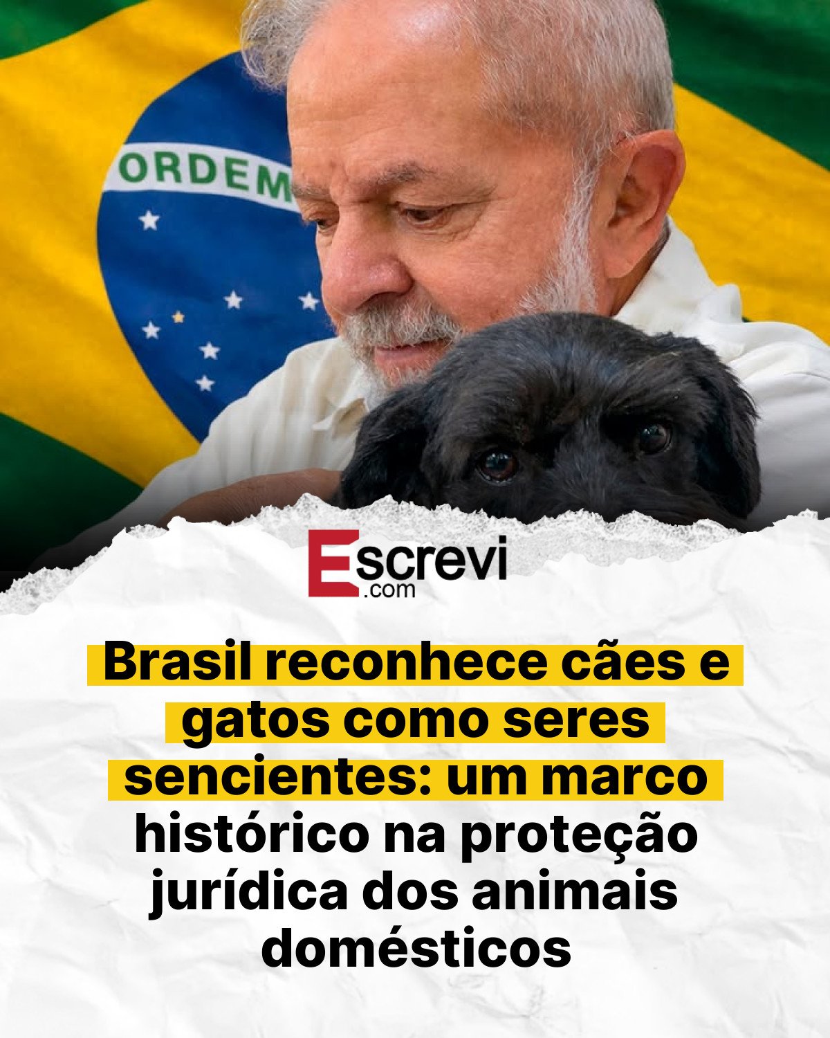 Brasil reconhece cães e gatos como seres sencientes: um marco histórico na proteção jurídica dos animais domésticos card branco