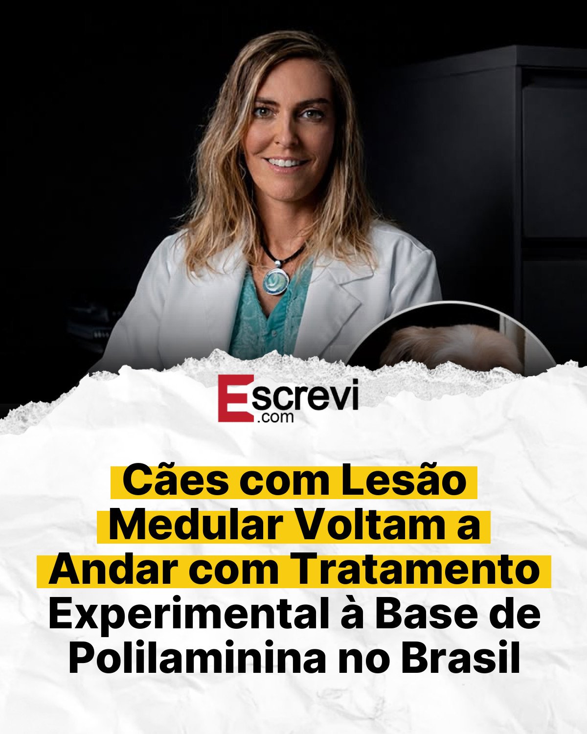 Cães com Lesão Medular Voltam a Andar com Tratamento Experimental à Base de Polilaminina no Brasil card branco