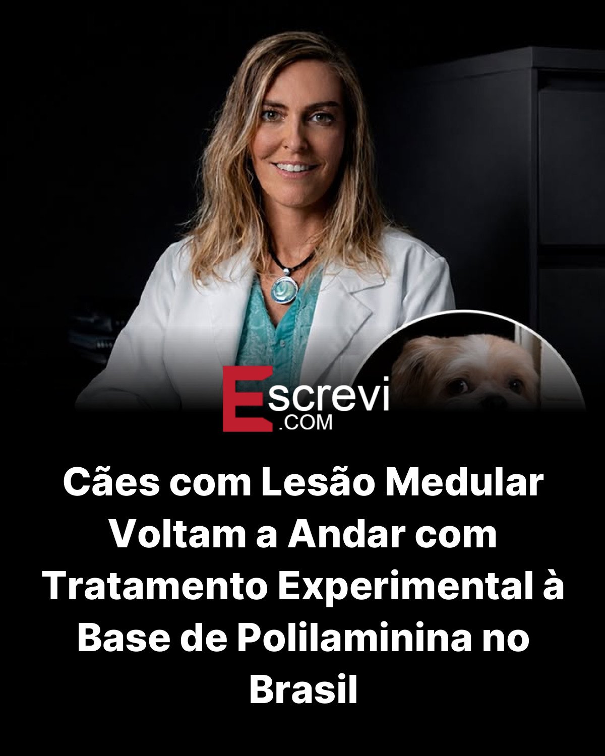 Cães com Lesão Medular Voltam a Andar com Tratamento Experimental à Base de Polilaminina no Brasil card preto