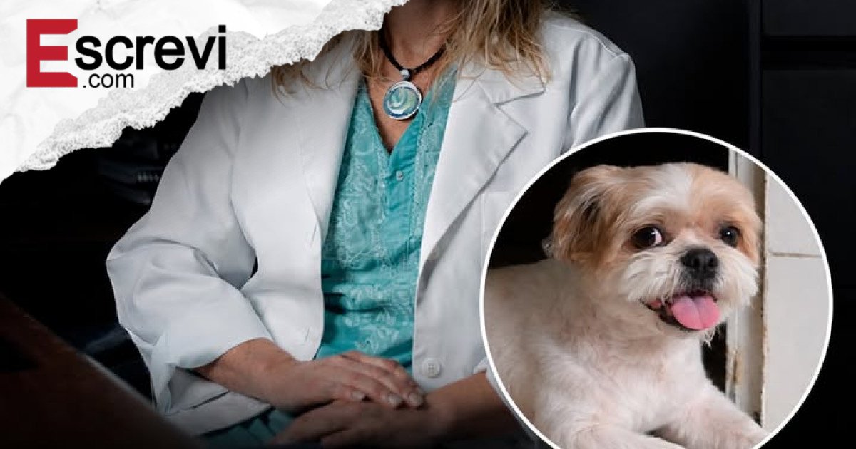 Cães com Lesão Medular Voltam a Andar com Tratamento Experimental à Base de Polilaminina no Brasil imagem principal