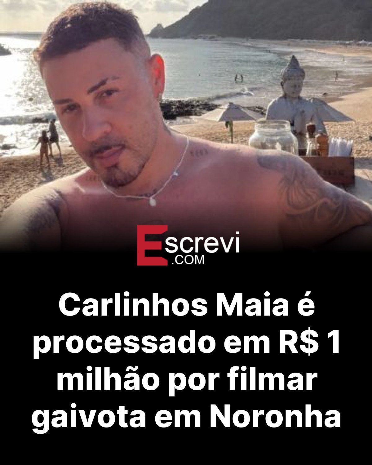 Carlinhos Maia é processado em R$ 1 milhão por filmar gaivota em Noronha card preto