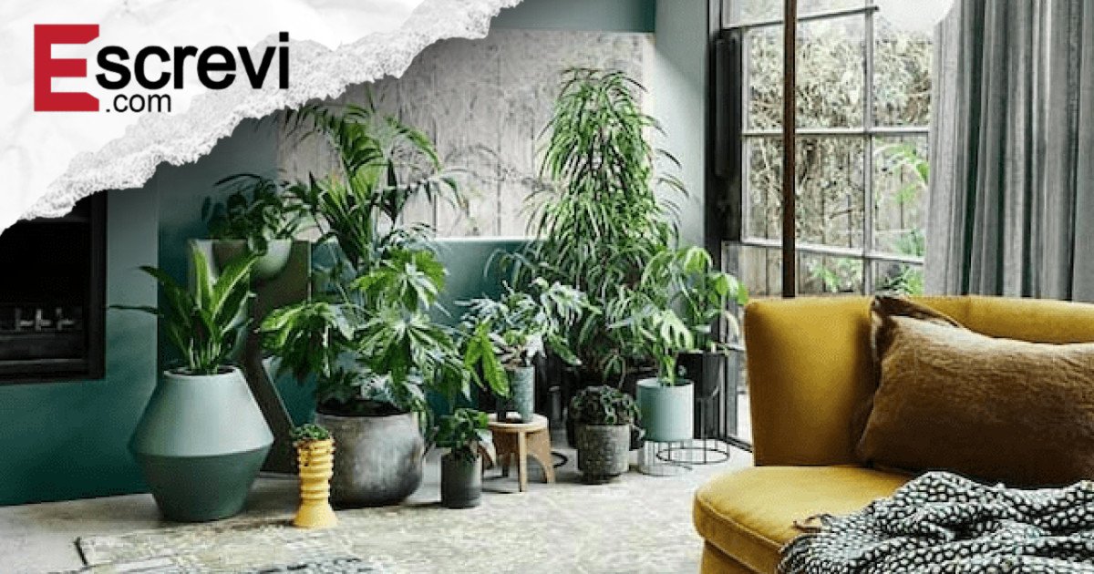 Casa com energia pesada? Veja como transformar o ambiente e recuperar o bem imagem principal