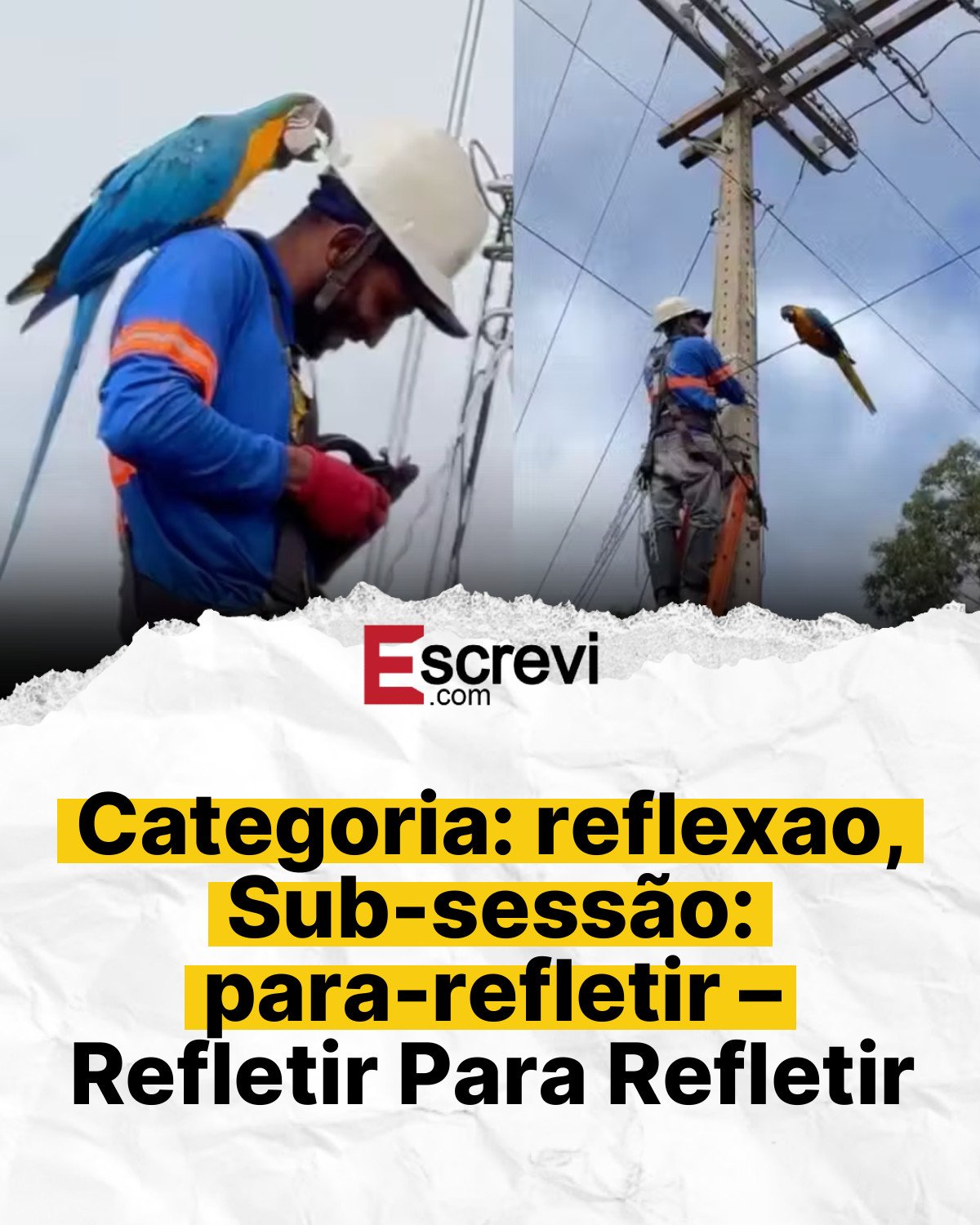 Categoria: reflexao, Sub-sessão: para-refletir – Refletir Para Refletir card branco