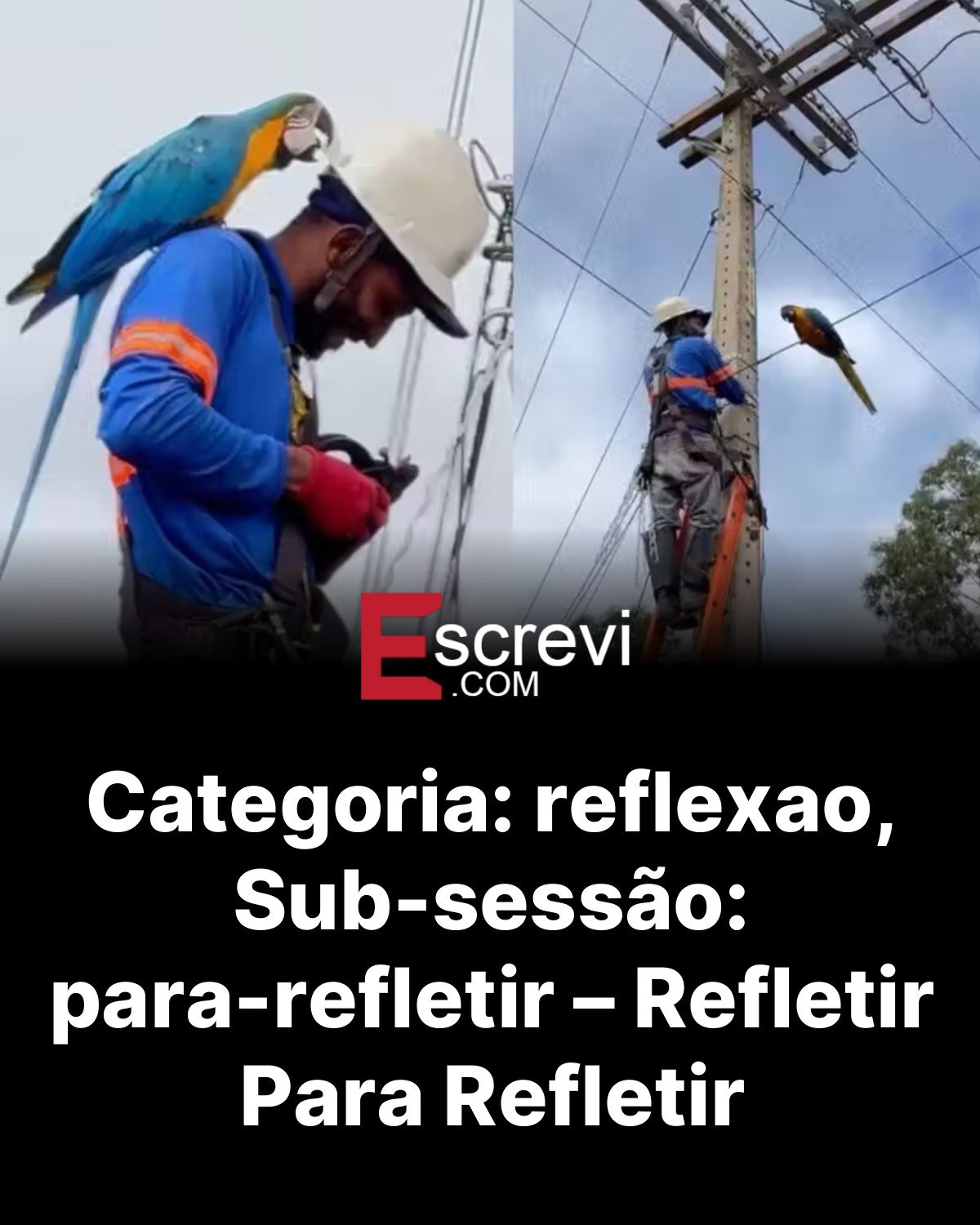 Categoria: reflexao, Sub-sessão: para-refletir – Refletir Para Refletir card preto