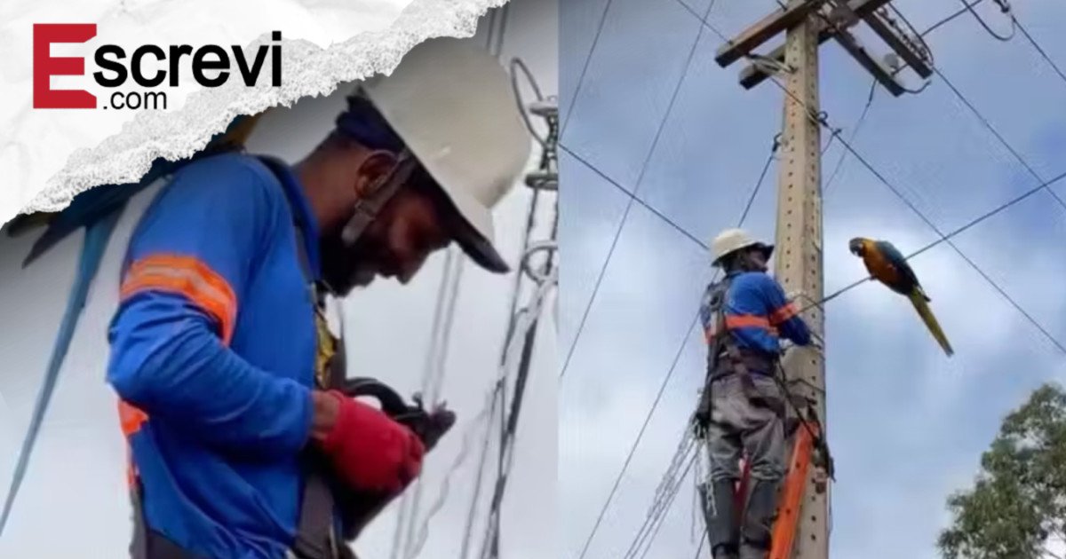 Categoria: reflexao, Sub-sessão: para-refletir – Refletir Para Refletir imagem principal