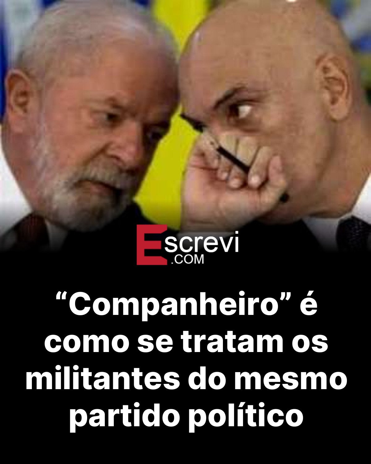 “Companheiro” é como se tratam os militantes do mesmo partido político card preto
