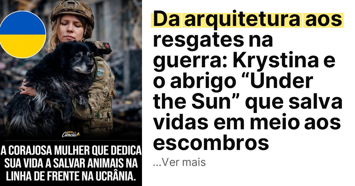 Da arquitetura aos resgates na guerra: Krystina e o abrigo “Under the Sun” que salva vidas em meio aos escombros imagem principal