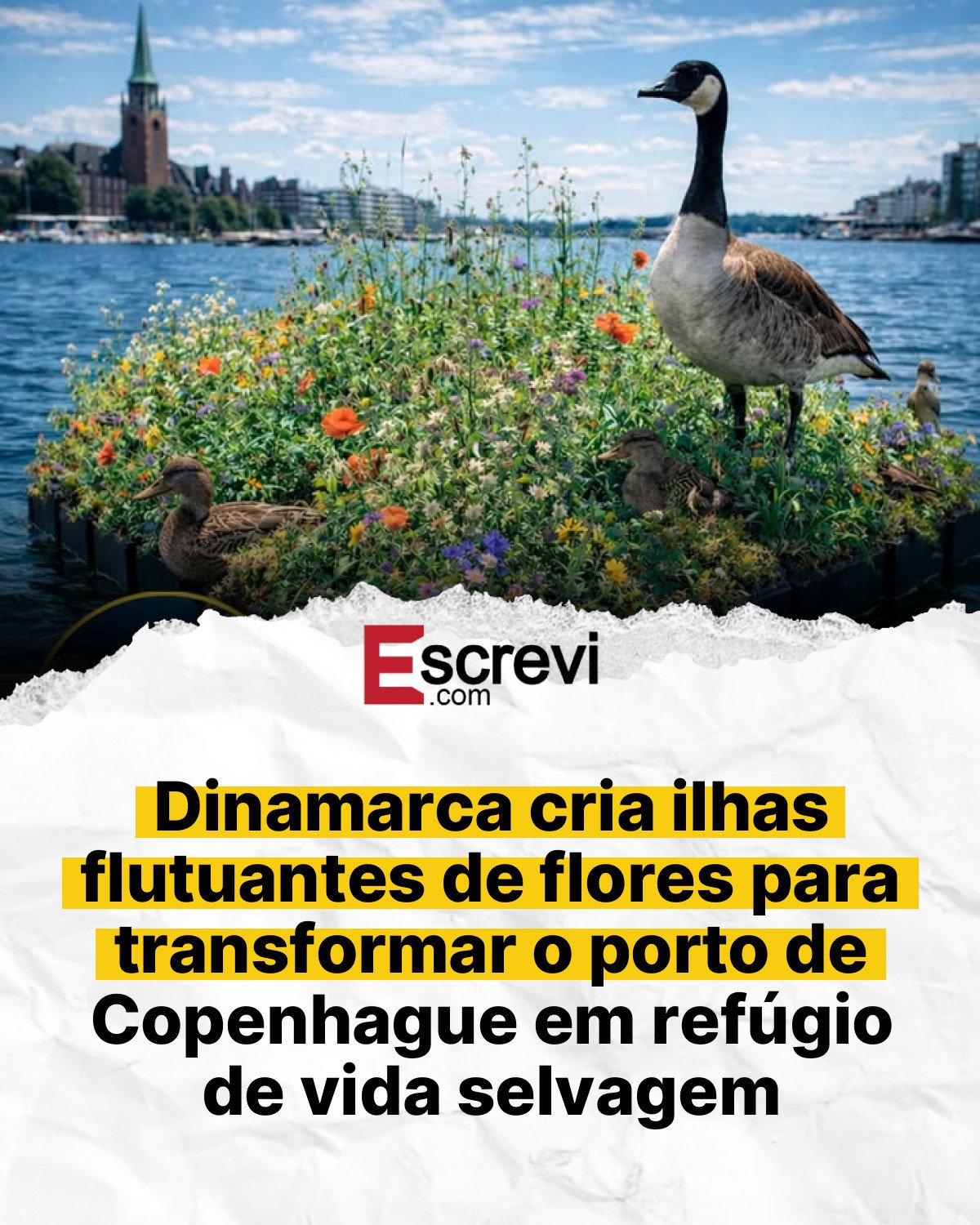 Dinamarca cria ilhas flutuantes de flores para transformar o porto de Copenhague em refúgio de vida selvagem card branco