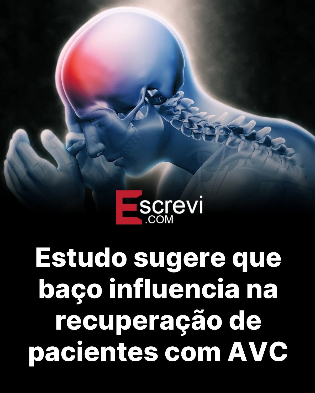 Estudo sugere que baço influencia na recuperação de pacientes com AVC card preto