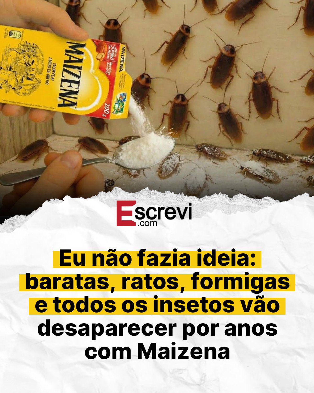 Eu não fazia ideia: baratas, ratos, formigas e todos os insetos vão desaparecer por anos com Maizena card branco