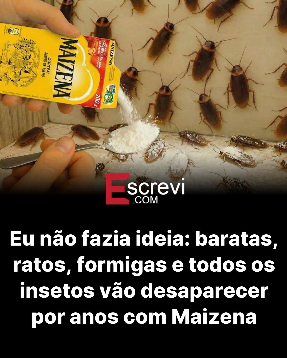 Eu não fazia ideia: baratas, ratos, formigas e todos os insetos vão desaparecer por anos com Maizena card preto