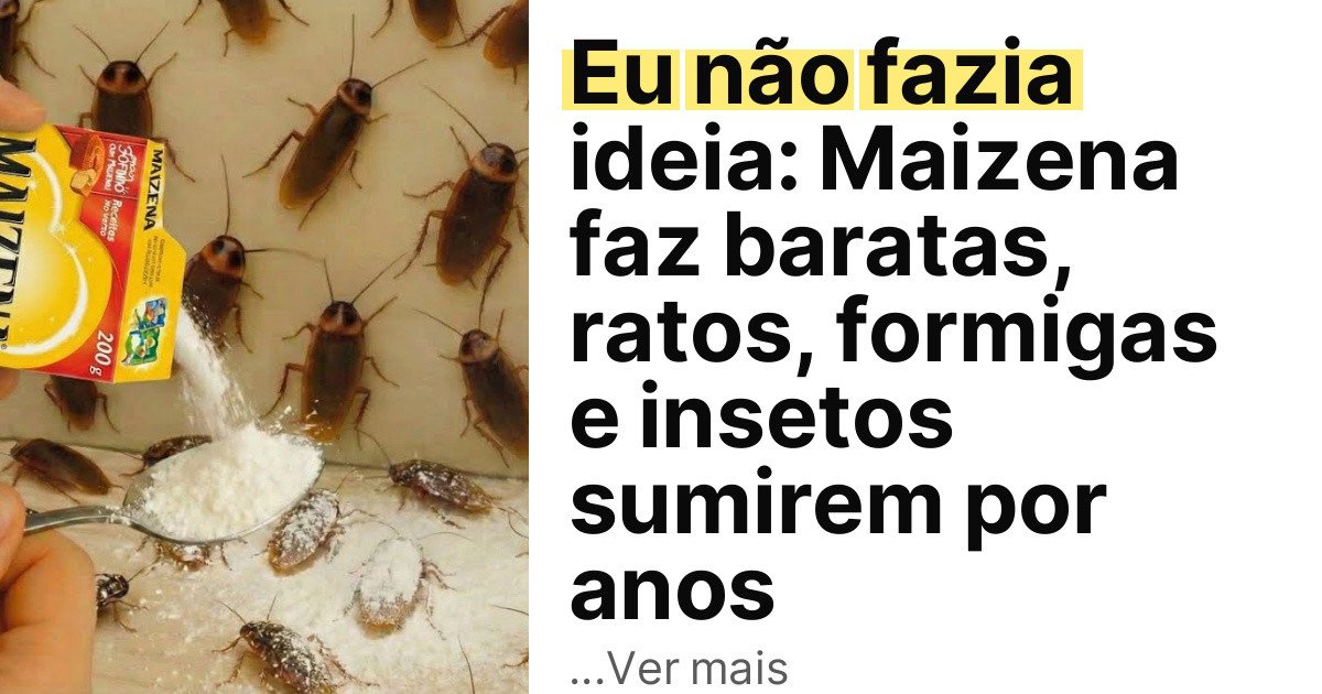 Eu não fazia ideia: Maizena faz baratas, ratos, formigas e insetos sumirem por anos imagem principal