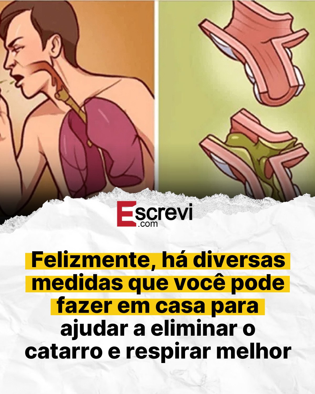 Felizmente, há diversas medidas que você pode fazer em casa para ajudar a eliminar o catarro e respirar melhor card branco