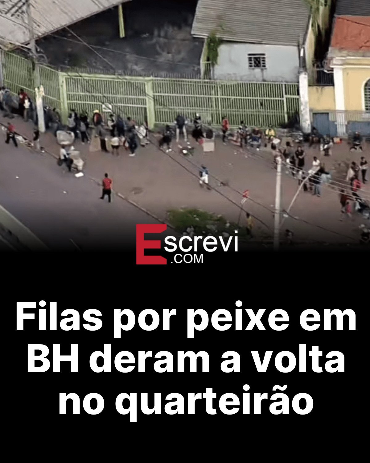 Filas por peixe em BH deram a volta no quarteirão card preto