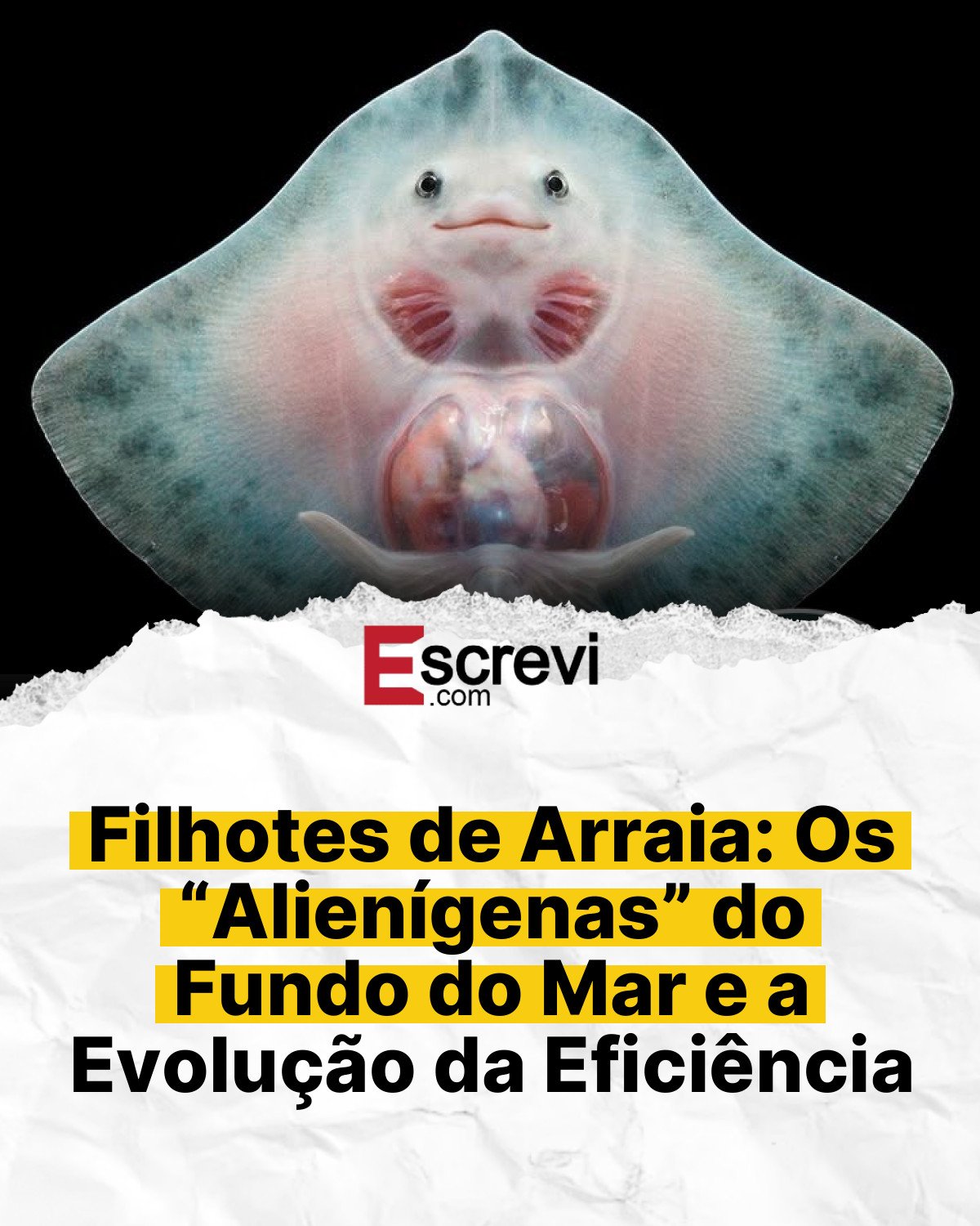 Filhotes de Arraia: Os “Alienígenas” do Fundo do Mar e a Evolução da Eficiência card branco