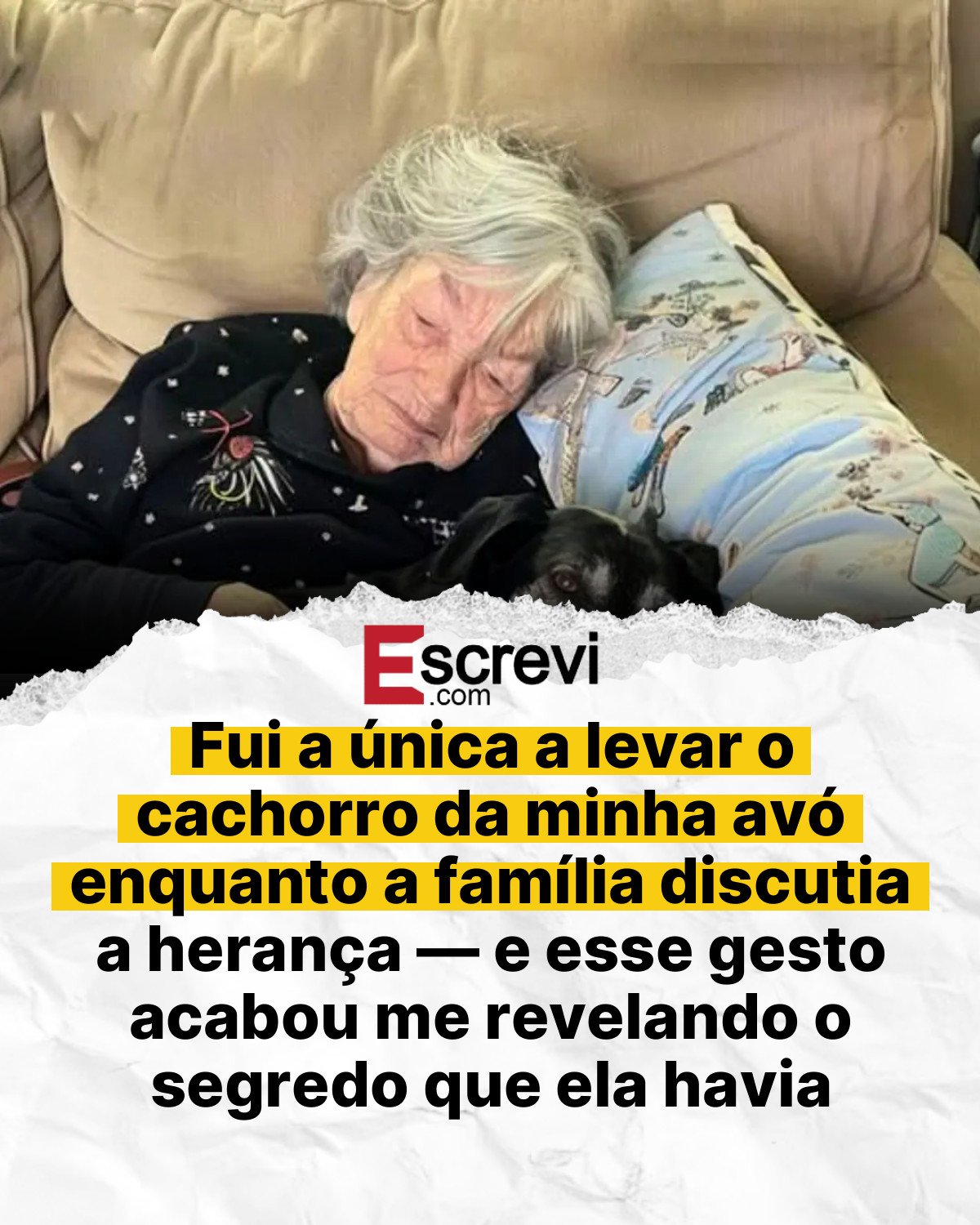 Fui a única a levar o cachorro da minha avó enquanto a família discutia a herança — e esse gesto acabou me revelando o segredo que ela havia deixado para mim card branco