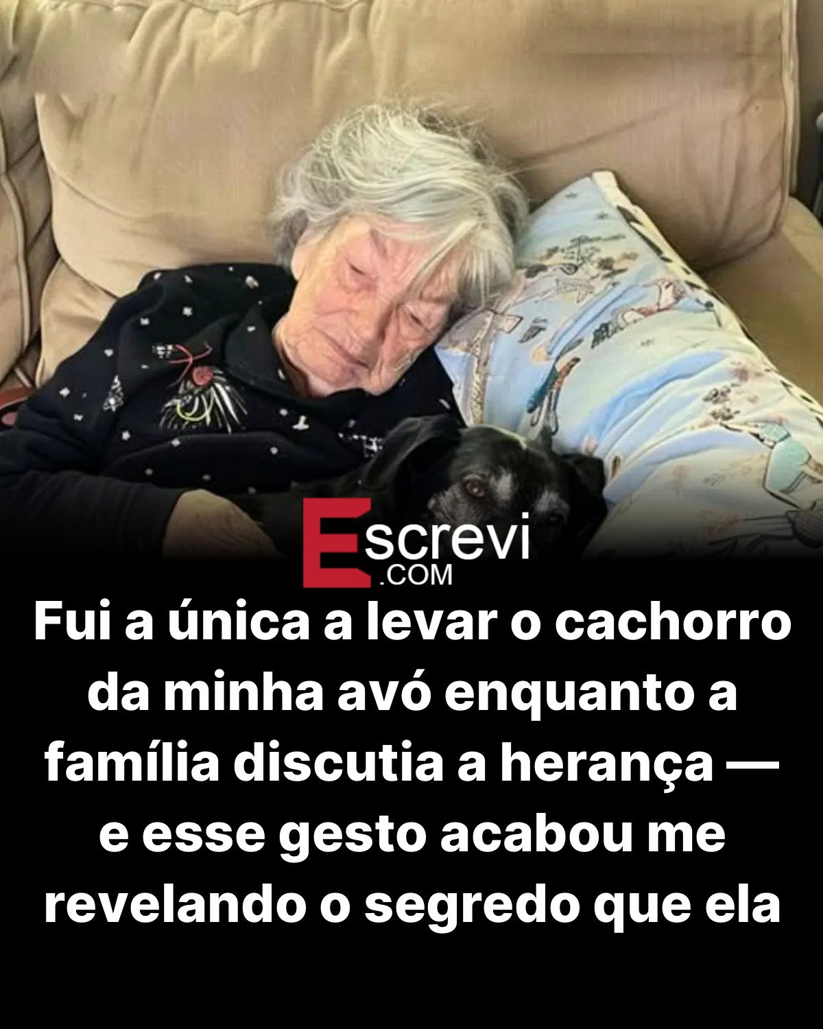Fui a única a levar o cachorro da minha avó enquanto a família discutia a herança — e esse gesto acabou me revelando o segredo que ela havia deixado para mim card preto