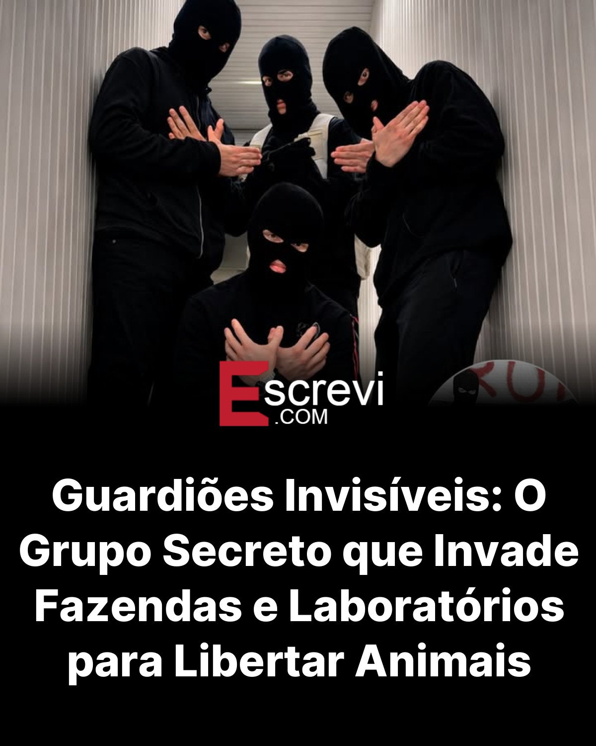 Guardiões Invisíveis: O Grupo Secreto que Invade Fazendas e Laboratórios para Libertar Animais card preto