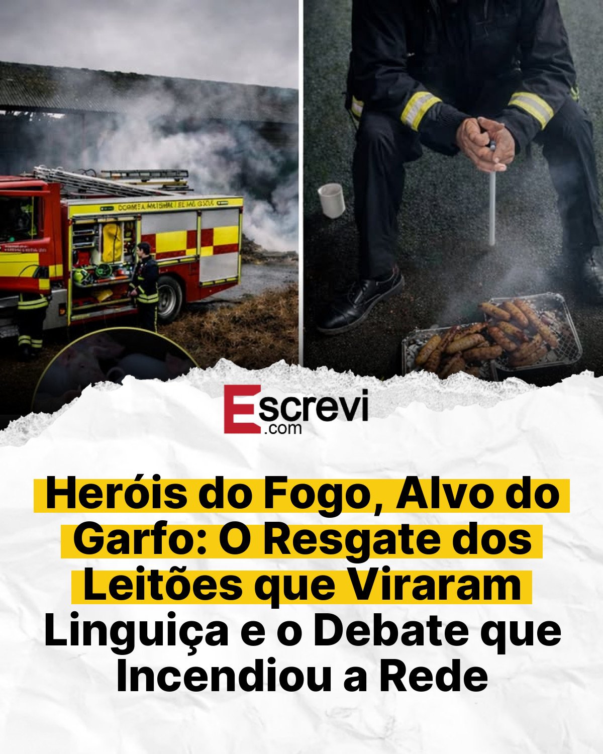 Heróis do Fogo, Alvo do Garfo: O Resgate dos Leitões que Viraram Linguiça e o Debate que Incendiou a Rede card branco
