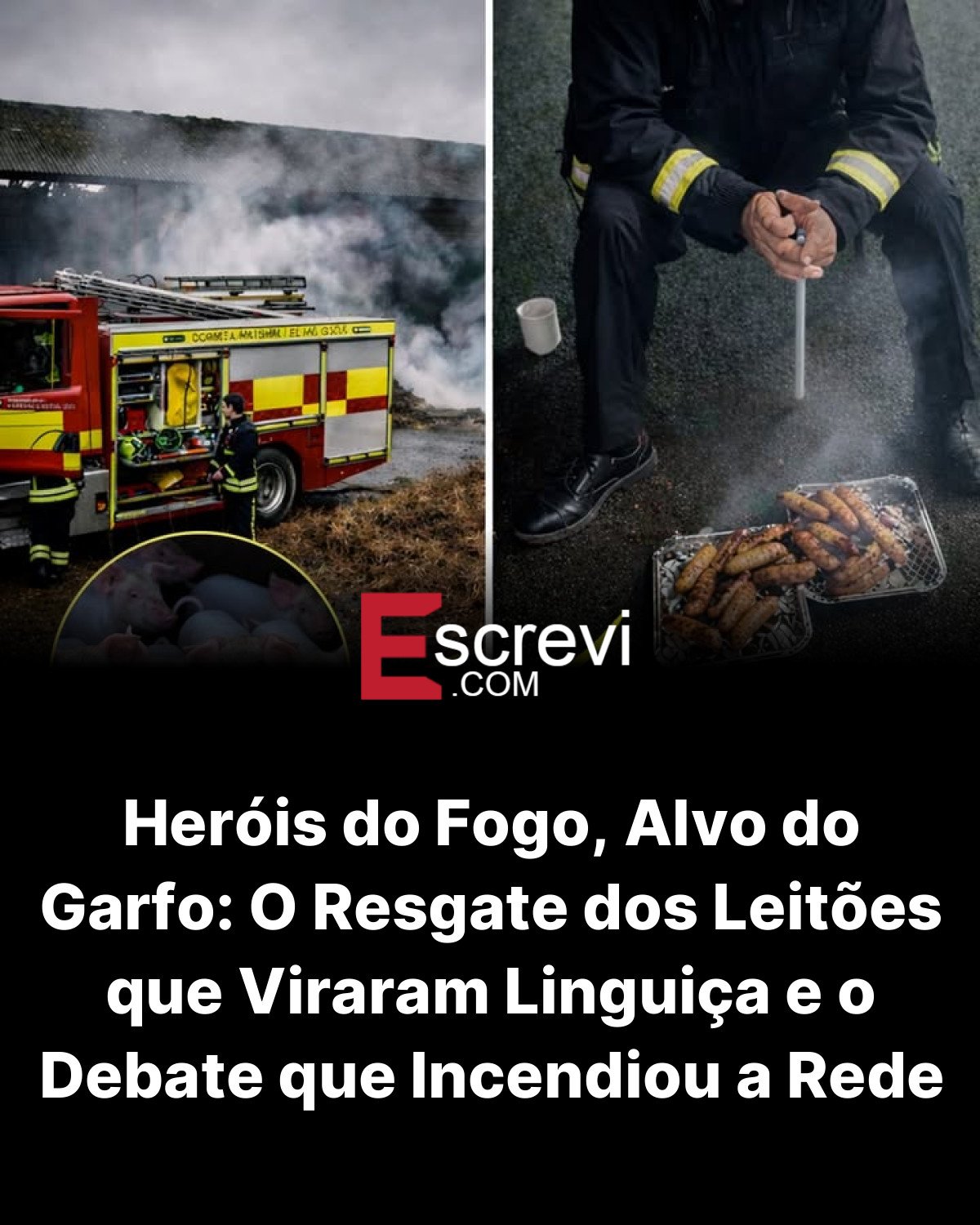 Heróis do Fogo, Alvo do Garfo: O Resgate dos Leitões que Viraram Linguiça e o Debate que Incendiou a Rede card preto