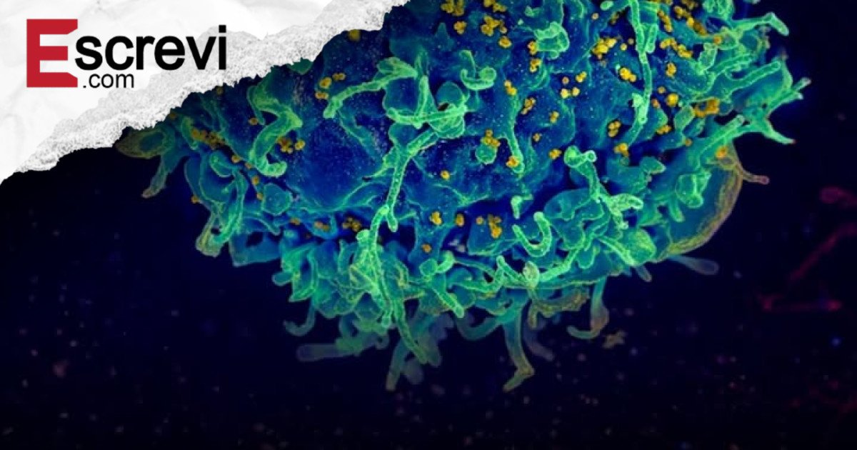 HIV: de sentença de morte a doença crônica controlável — o desafio agora é garantir acesso igual ao tratamento imagem principal