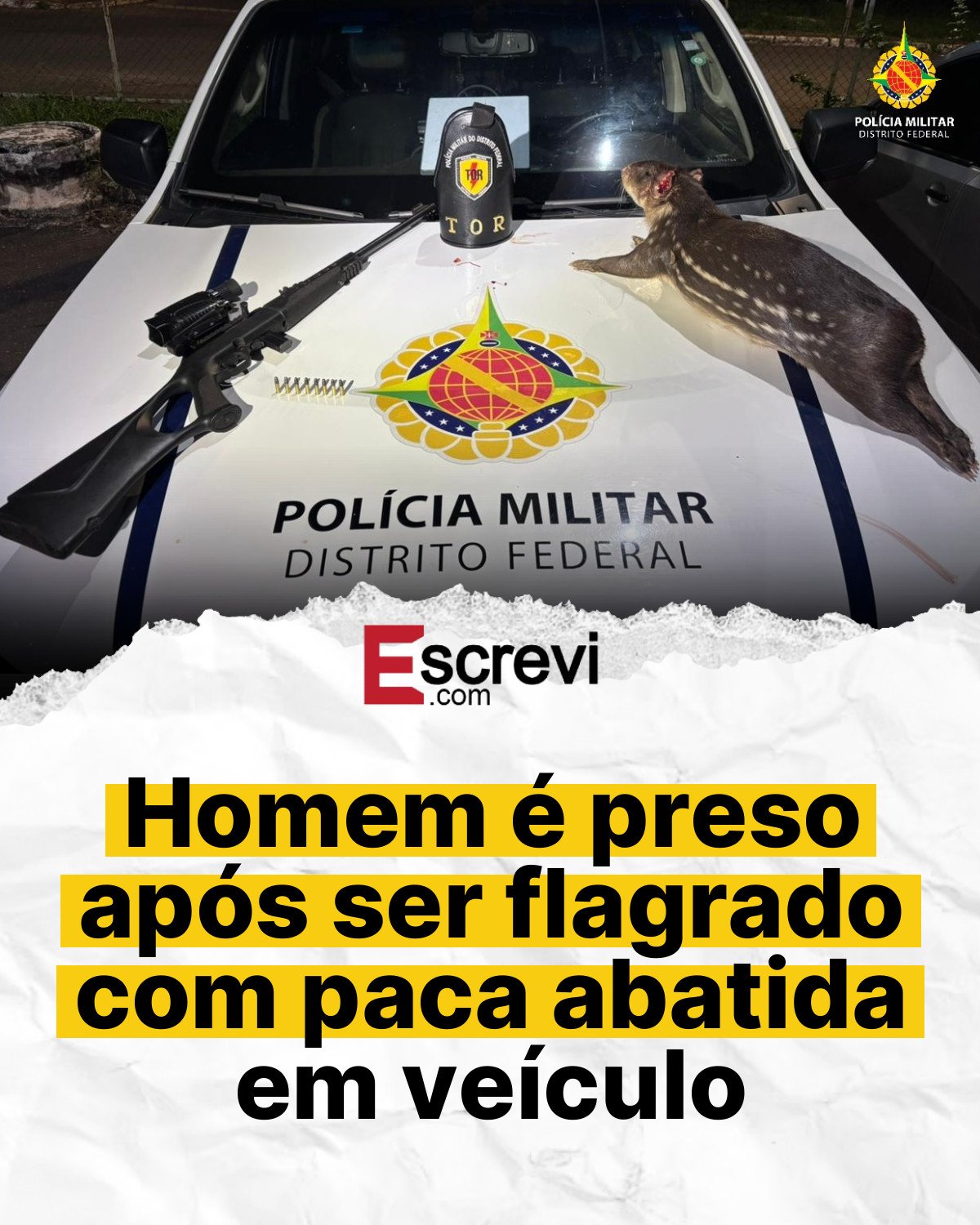 Homem é preso após ser flagrado com paca abatida em veículo card branco