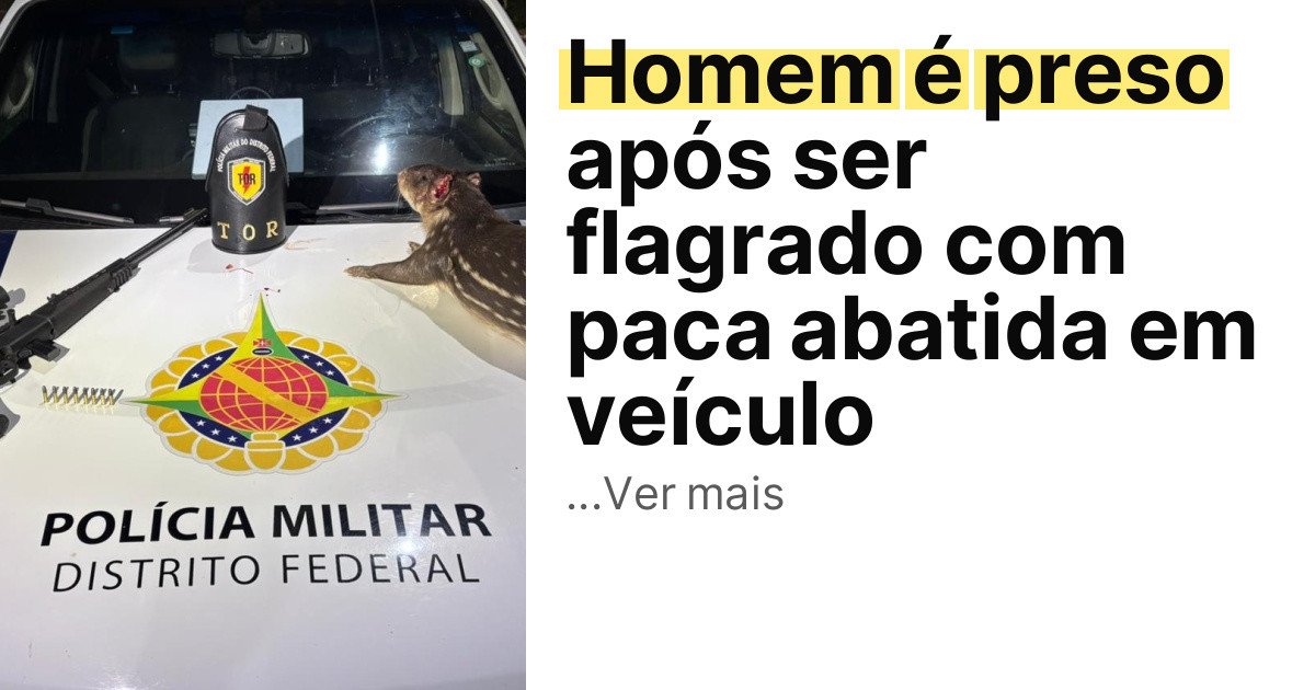 Homem é preso após ser flagrado com paca abatida em veículo imagem principal