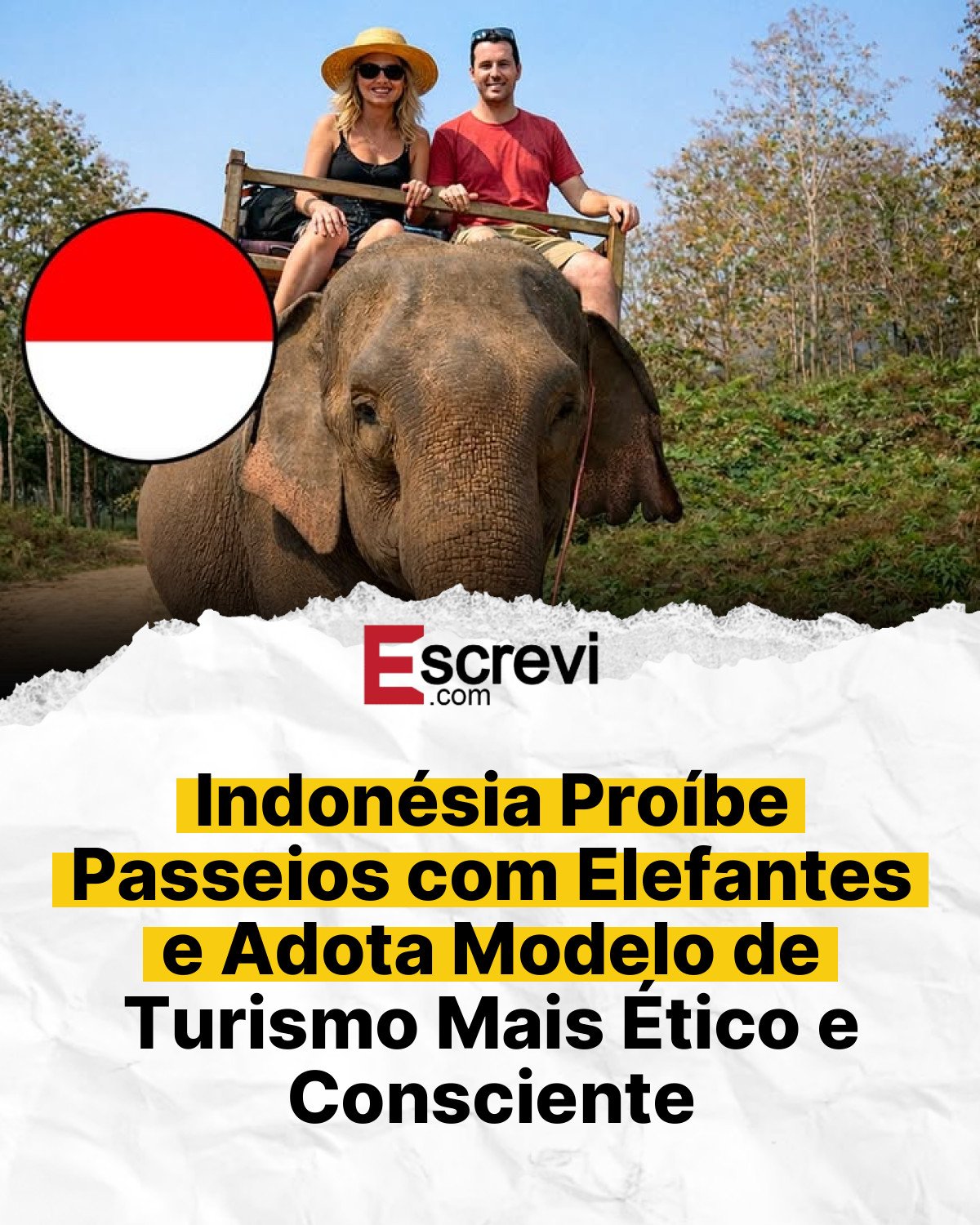 Indonésia Proíbe Passeios com Elefantes e Adota Modelo de Turismo Mais Ético e Consciente card branco