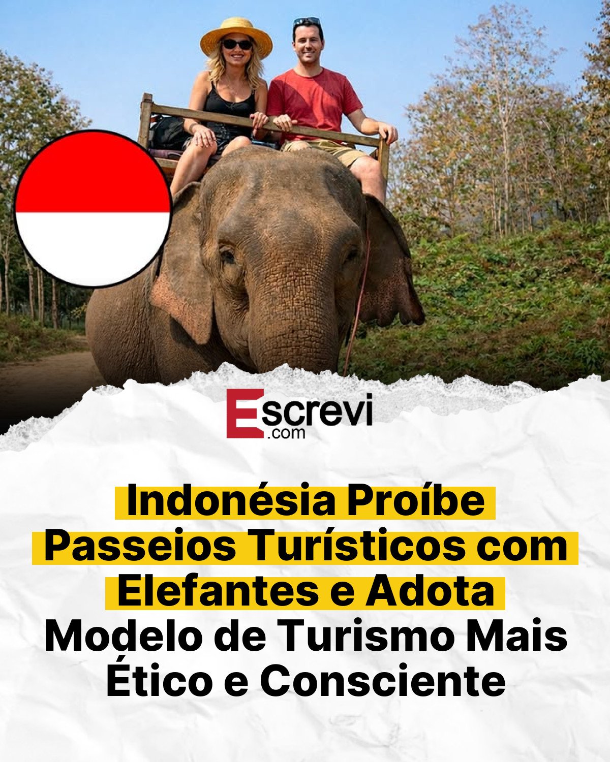 Indonésia Proíbe Passeios Turísticos com Elefantes e Adota Modelo de Turismo Mais Ético e Consciente card branco