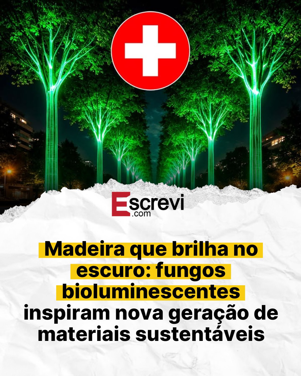 Madeira que brilha no escuro: fungos bioluminescentes inspiram nova geração de materiais sustentáveis card branco