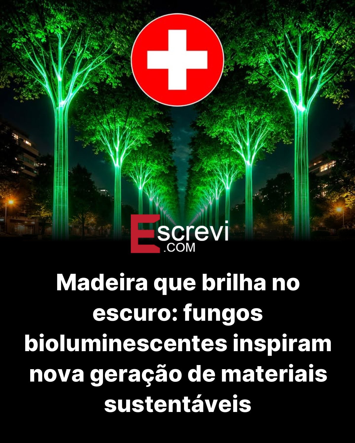 Madeira que brilha no escuro: fungos bioluminescentes inspiram nova geração de materiais sustentáveis card preto