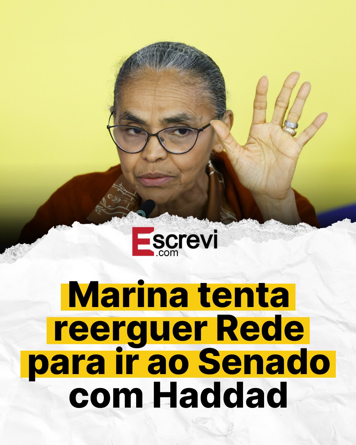 Marina tenta reerguer Rede para ir ao Senado com Haddad card branco