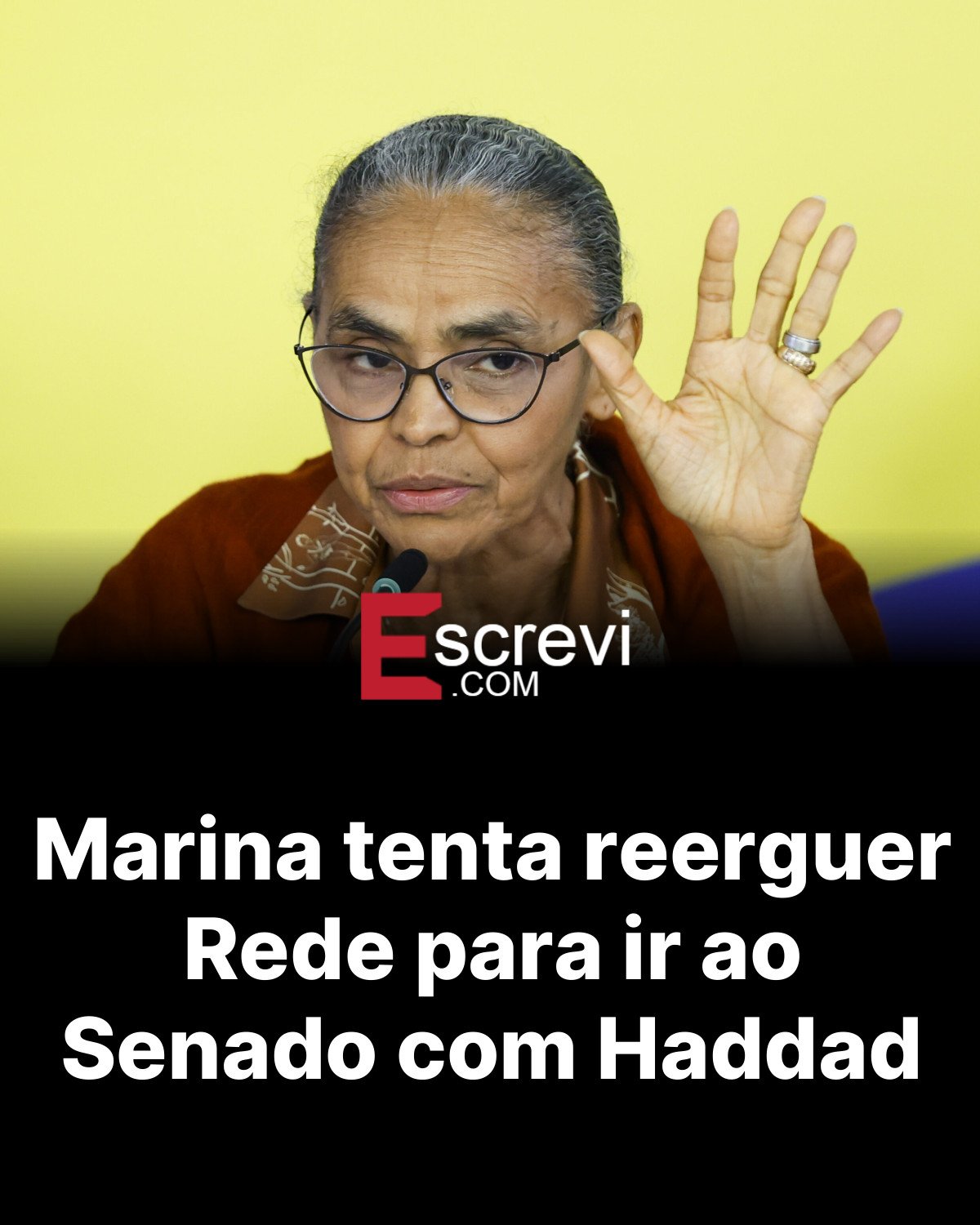 Marina tenta reerguer Rede para ir ao Senado com Haddad card preto