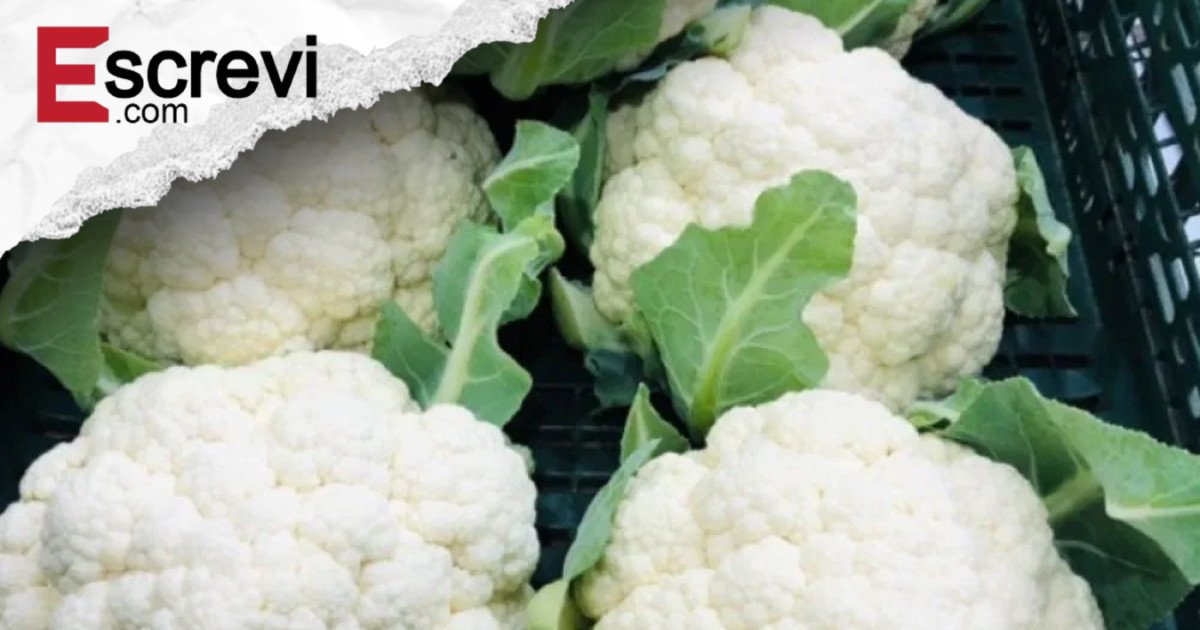 Médicos revelam que comer couve imagem principal