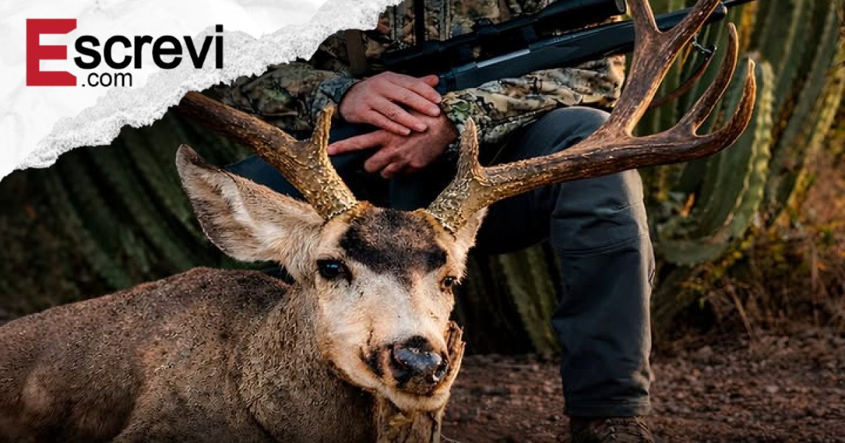 Milionário texano morre aos 52 anos após ataque de búfalo em safári de caça na África do Sul imagem principal