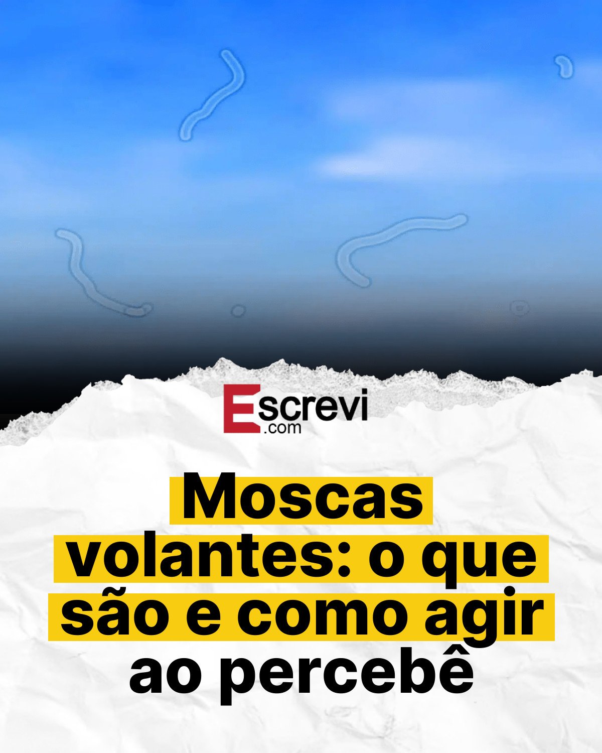 Moscas volantes: o que são e como agir ao percebê card branco