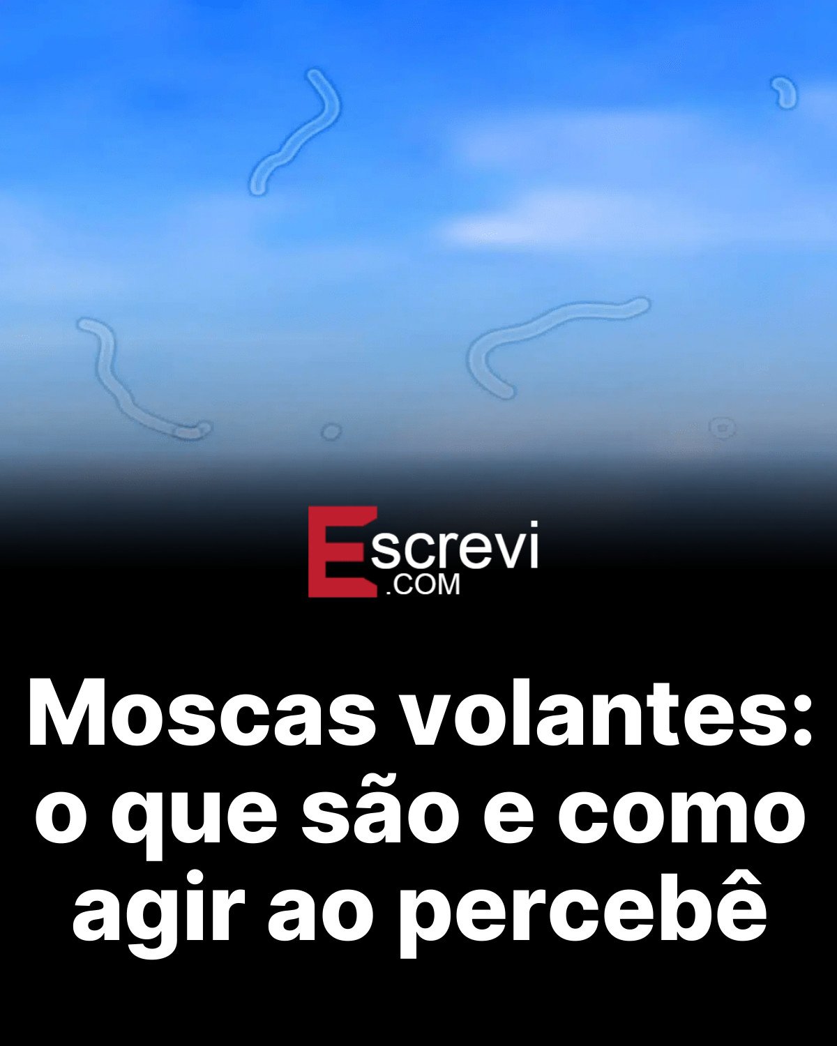 Moscas volantes: o que são e como agir ao percebê card preto