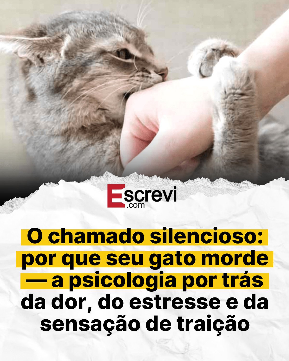 O chamado silencioso: por que seu gato morde — a psicologia por trás da dor, do estresse e da sensação de traição card branco