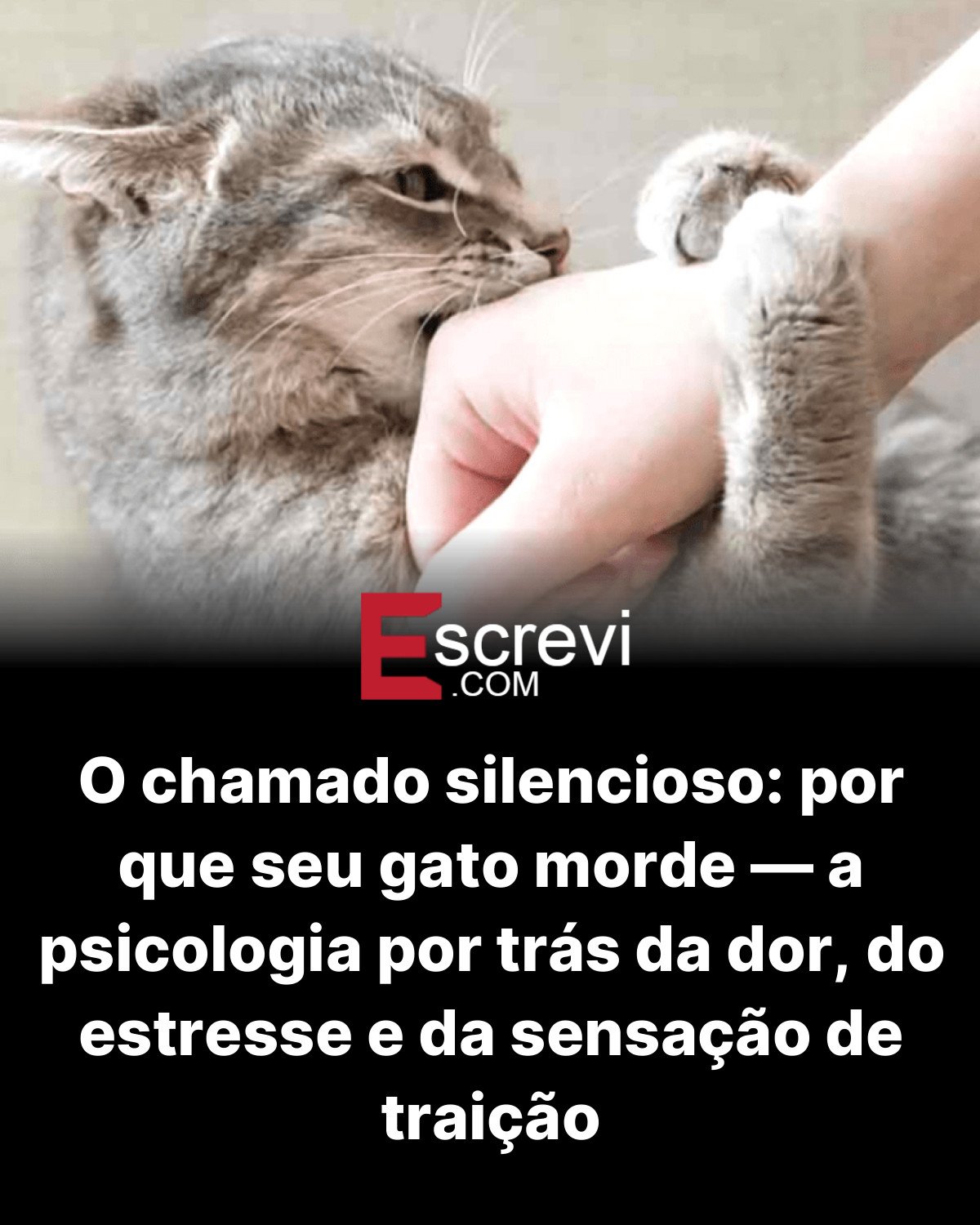 O chamado silencioso: por que seu gato morde — a psicologia por trás da dor, do estresse e da sensação de traição card preto