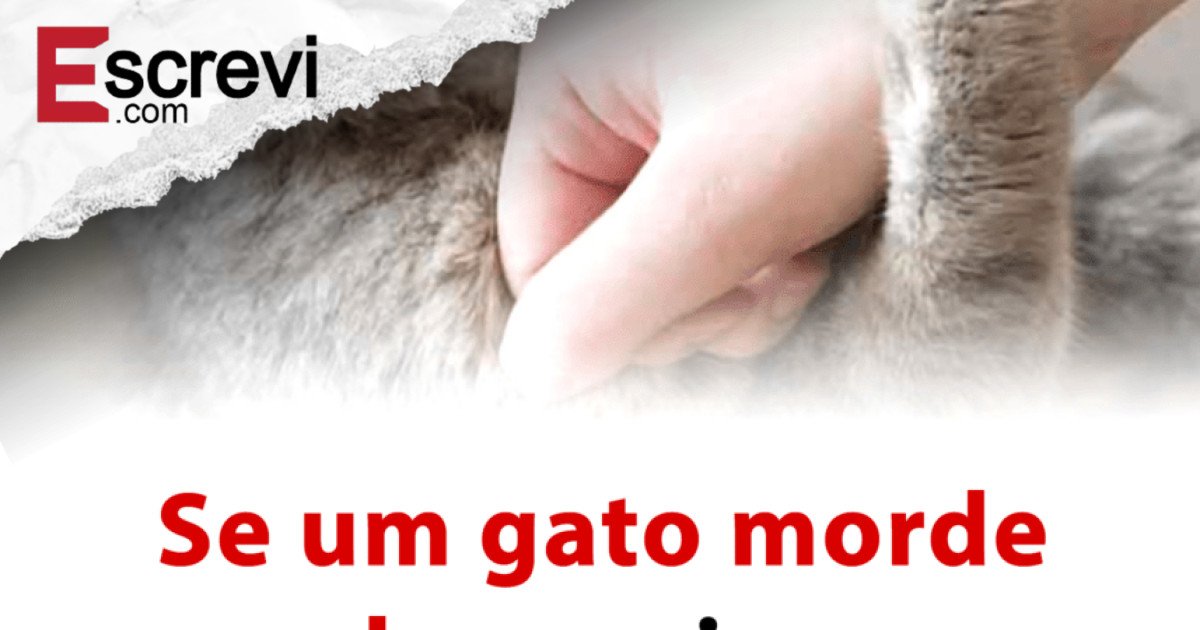 O chamado silencioso: por que seu gato morde — a psicologia por trás da dor, do estresse e da sensação de traição imagem principal