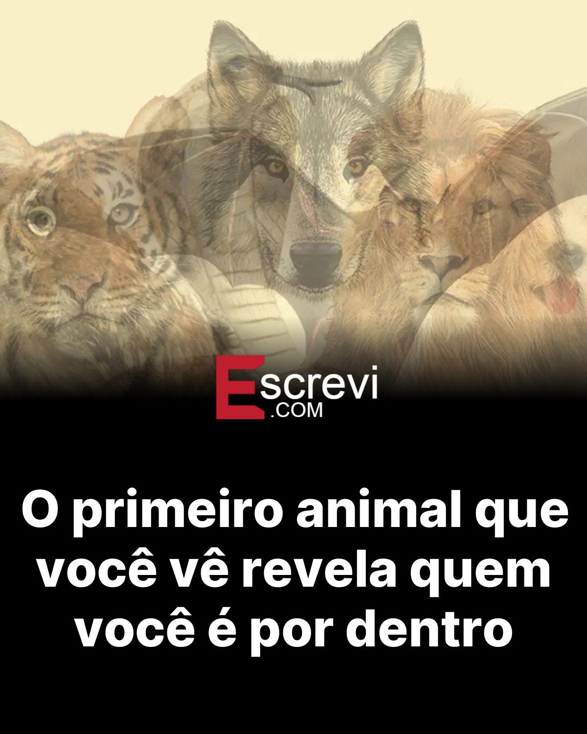 O primeiro animal que você vê revela quem você é por dentro card preto